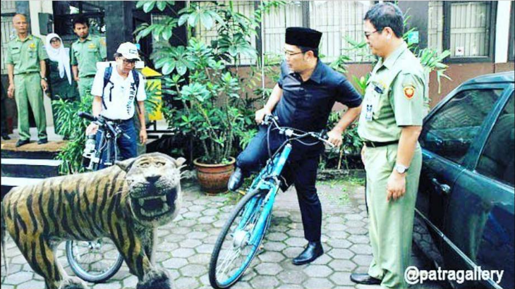 Ridwan Kamil Unggah Foto Harimau 'Nyengir' Cisewu