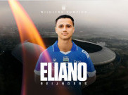 Eliano Reijnders Sosok yang Dibutuhkan Persib, Menurut Bojan Hodak