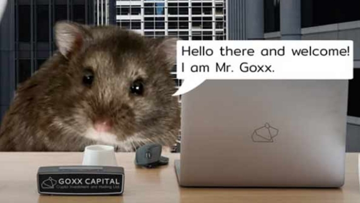 Hamster Bintang Trading Cryptocurrency Mati