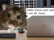 Hamster Bintang Trading Cryptocurrency Mati