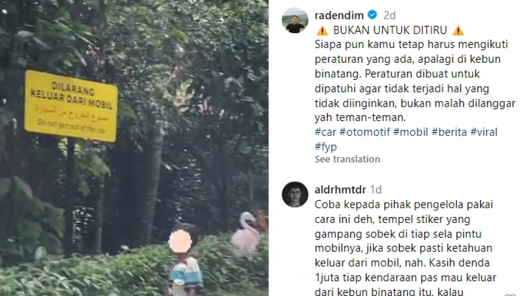 Pengunjung Taman Safari Indonesia Keluar dari Mobil di Area Flamingo, Pengelola Beri Sanksi Blacklist