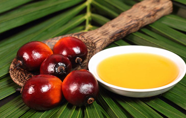 kelapa sawit