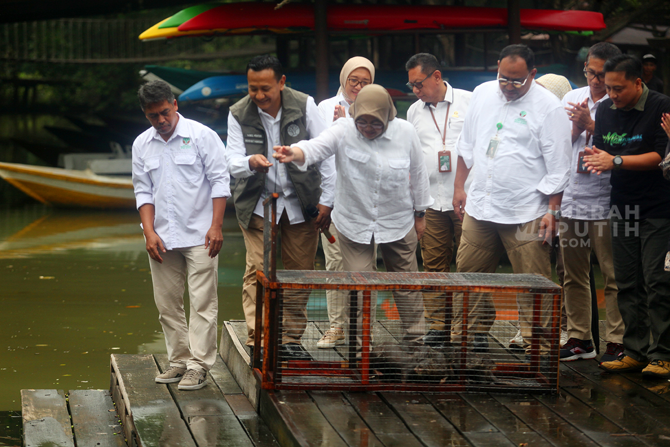 Wakil Menteri Kehutanan (Wamenhut) Rohmat Marzuki (tengah), Direktur Jenderal Pengelolaan Daerah Aliran Sungai dan Rehabilitasi Hutan (PDASRH) Kementerian Kehutanan (Kemenhut) Dyah Murtiningsih (ketiga kiri), Direktur Rehabilitasoi Magrove Kemenhut Ristianto Pribadi (ketiga kanan), sejumlah Pejabat, Perwakilan Bank Dunia, Mahasiswa dan Pelajar serta aktivis lingkungan, menanam bibt Mangrove, di Taman Wisata Alam Mangrove Angke Kapuk, Jakarta, Selasa (28/10/2025)