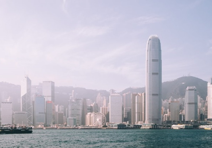 Mamalia Menggemaskan Ini Kembali Muncul di Perairan Hong Kong 