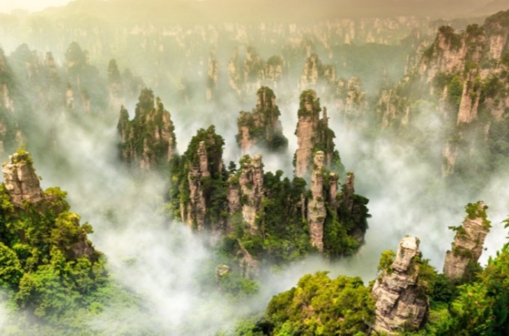 Hutan Terindah dari Seluruh Dunia, Mana yang Paling Ajaib?