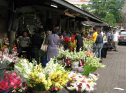 Valentine dan Imlek, Omzet Pedagang Bunga Melonjak 300 Persen