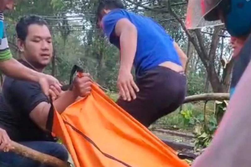 3 Orang Meninggal Tertimpa Pohon Saat Hujan Deras di Batang Jawa Tengah