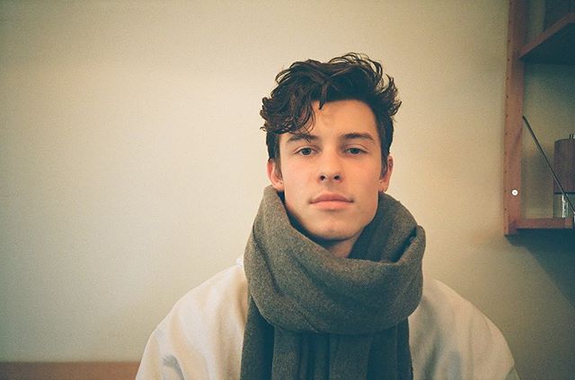 Shawn Mendes Ungkap Perasaannya ke Taylor Swift