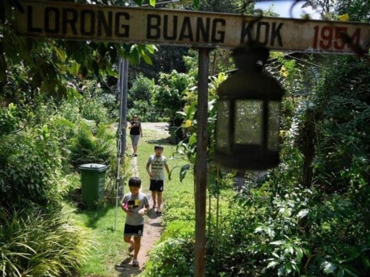 Desa ini adalah oasis hijau yang langka di salah satu negara terpadat dan urban di dunia urban. (Foto: straitstimes.com)