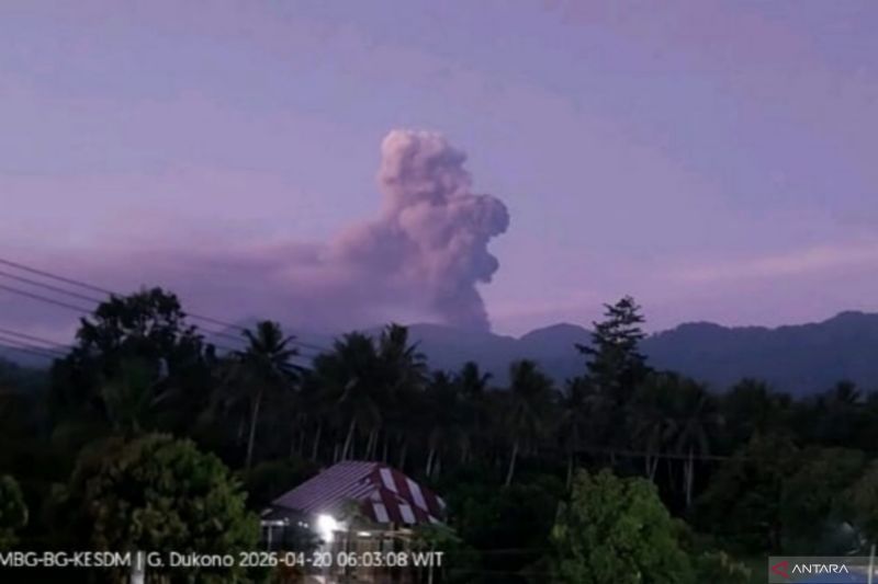 Gunung Dukono di Halmahera Utara Erupsi Pagi Ini, Tinggi Letusan hingga 1,4 Kilometer