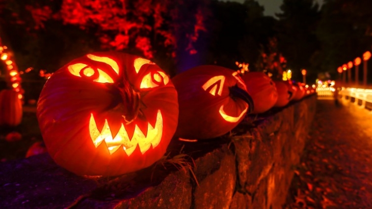 7000 Jack-o'-Lanterns untuk Perayaan Halloween di New York