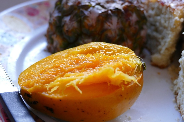 Mangga baik dikonsumsi untuk proses detoksifikasi. (Foto: Pixabay/silverstylus)