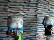 Stok Pupuk Nasional 2025 Tambah 2,5 Juta Ton Demi Swasembada Pangan 2027
