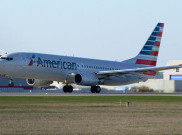 Viral, Video Pramugara American Airlines Rebut Kereta Bayi Penumpang