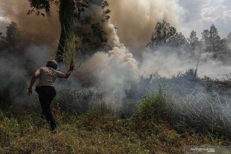 Personel Polsek Rumbai berusaha memadamkan api yang membakar semak belukar dengan alat seadanya disaat menunggu datangnya bantuan dari petugas Damkar dan BPBD ketika terjadi kebakaran lahan di Pekanbaru. (Foto: Antara)