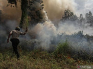 11 Titik Panas Karhutla Kepung Pesisir Riau