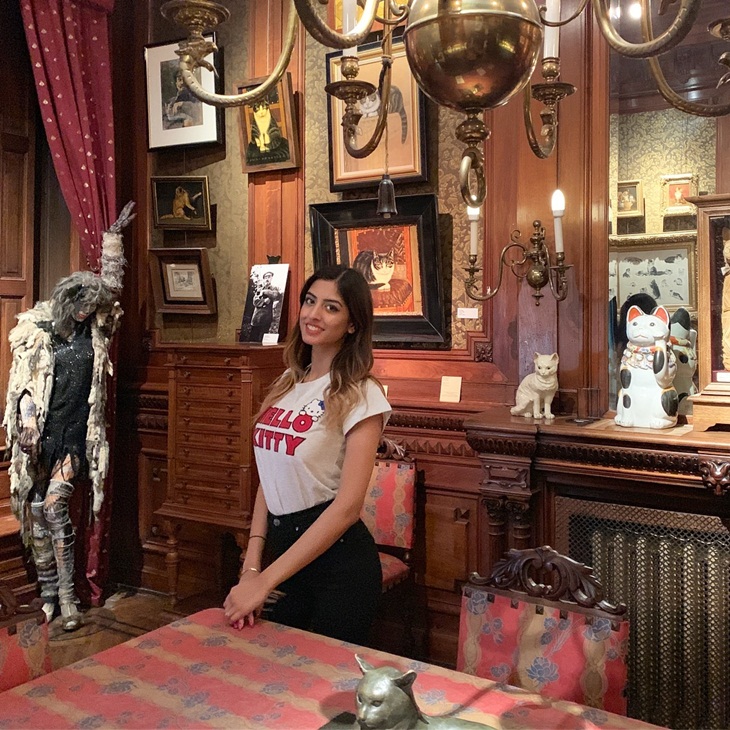 Cat Cabinet Museum. (Foto: instagram.com/kawaii.x.killer)