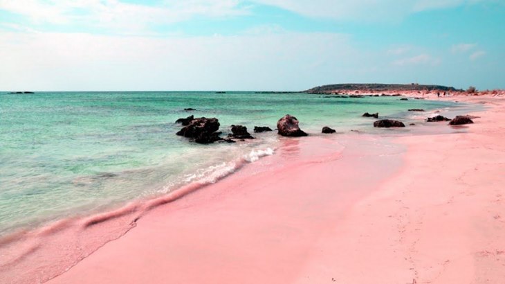 pink