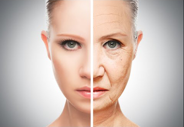 skin aging