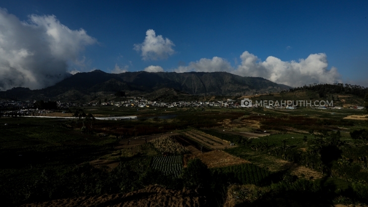 Pemandangan Dataran Tinggi Dieng (MP/Rizki Fitrianto)