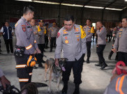 Polri Andalkan Anjing Pelacak untuk Cari Korban Hilang Bencana Alam di Sumut, Sebut Punya Insting dan Deteksi Sangat Akurat