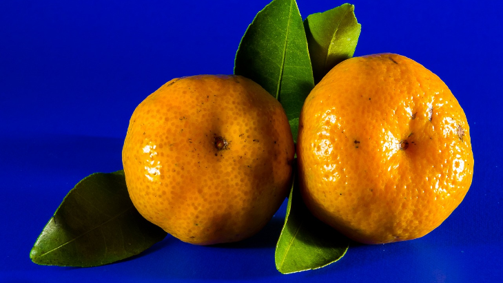 Jeruk Mandarin, Buah Pengundang Keberuntungan di Hari Imlek