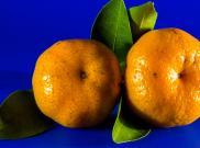 Jeruk Mandarin, Buah Pengundang Keberuntungan di Hari Imlek