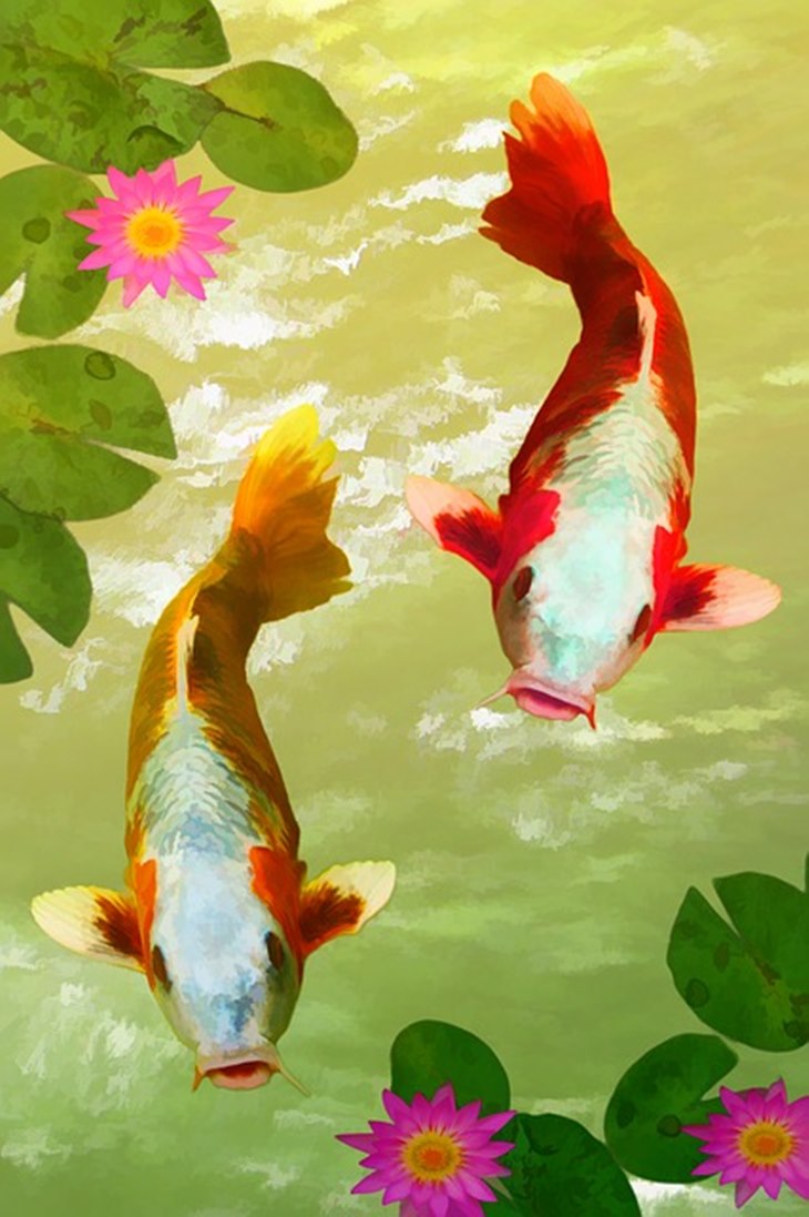 koi