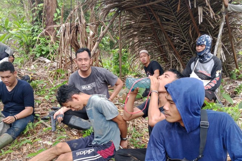 Sudah Mau Punah, Badak Jawa Masih Diincar Pelaku Perburuan Satwa Langka