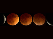Tips dan Trik Memotret Super Blue Blood Moon Menggunakan DSLR atau Mirroless