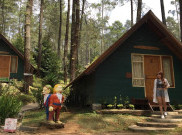 Grafika Cikole, Wisata Rumah Hobbit yang Cocok untuk Keluarga
