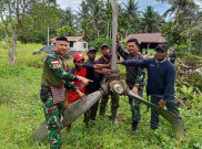 82 Tahun Pesawat Perang Dunia Teronggok di Hutan Keramat Perbatasan RI-PNG 