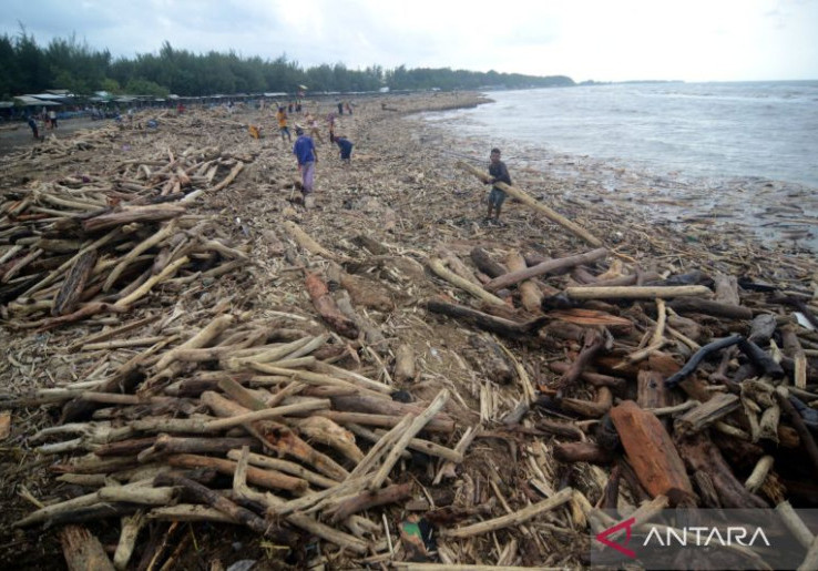 Istana Angkat Suara 'Banjir Bandang' Mahoni dan Sengon di Guci Tegal, Sudah Diinvestigasi