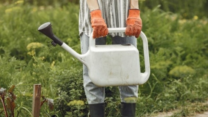Campuran cuka, garam, boraks, dan sabun cuci piring dapat membunuh rumput liar lebih efektif. (Foto: freepik/prostooleh)
