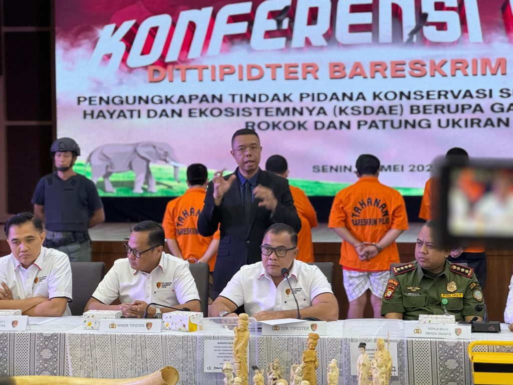 Jualan Pipa Rokok Berbahan Gading Ilegal di TikTok, Sindikat Perdangan Satwa Diringkus 