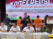 Jualan Pipa Rokok Berbahan Gading Ilegal di TikTok, Sindikat Perdangan Satwa Diringkus 
