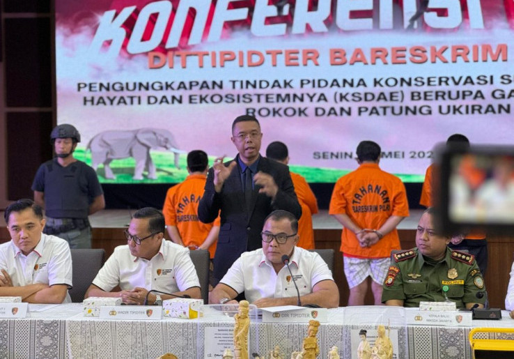 Jualan Pipa Rokok Berbahan Gading Ilegal di TikTok, Sindikat Perdangan Satwa Diringkus