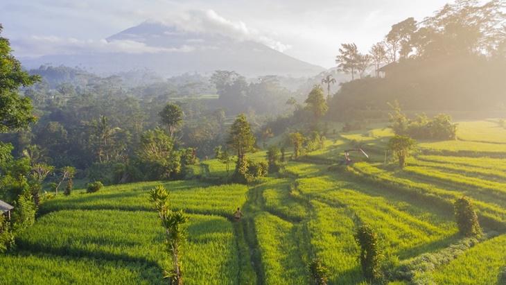 Kampanye #IndonesiaAsri Tekankan Gaya Hidup Menjaga Lingkungan