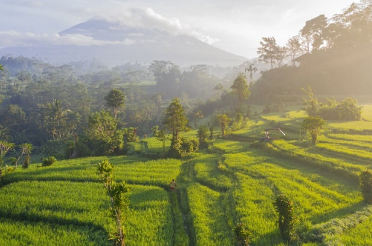 Kampanye #IndonesiaAsri Tekankan Gaya Hidup Menjaga Lingkungan