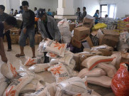 Dinsos DIY Pastikan Persediaan Logistik Siaga Bencana Aman