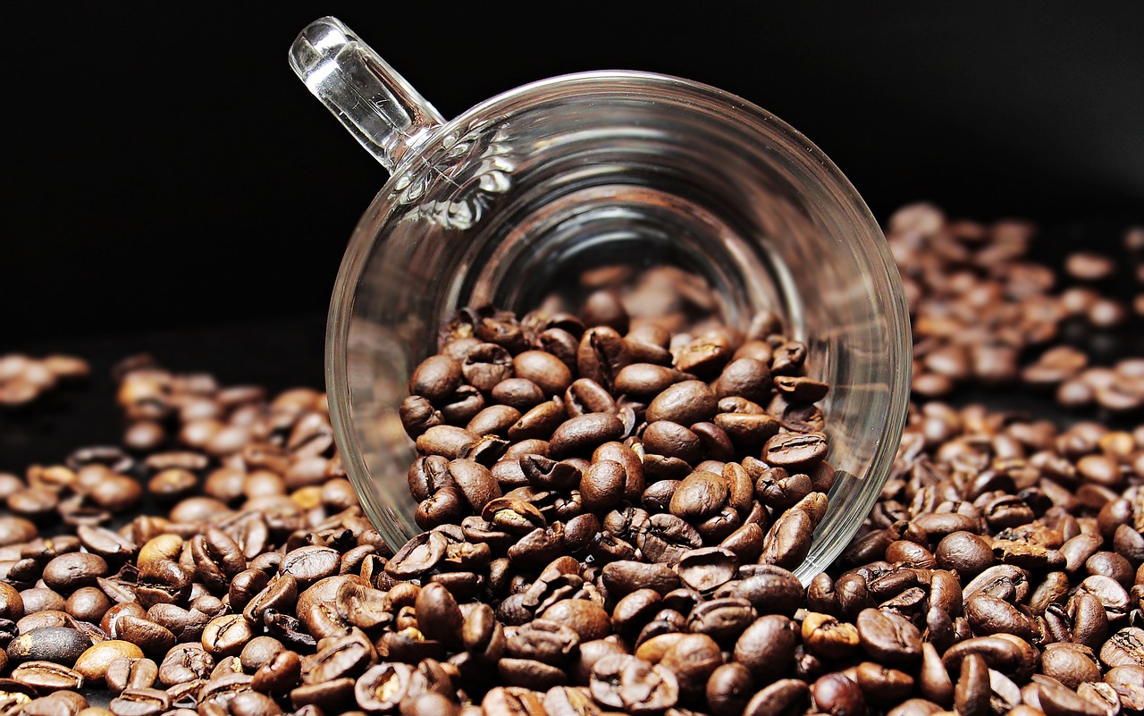Biji kopi memiliki beberapa manfaat (Foto: Pixabay/pixel2013)
