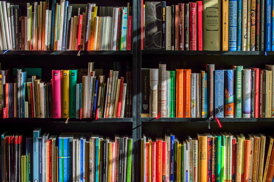 Tak ada salahnya berbagi ilmu (Sumber: Pixabay/LubosHouska)
