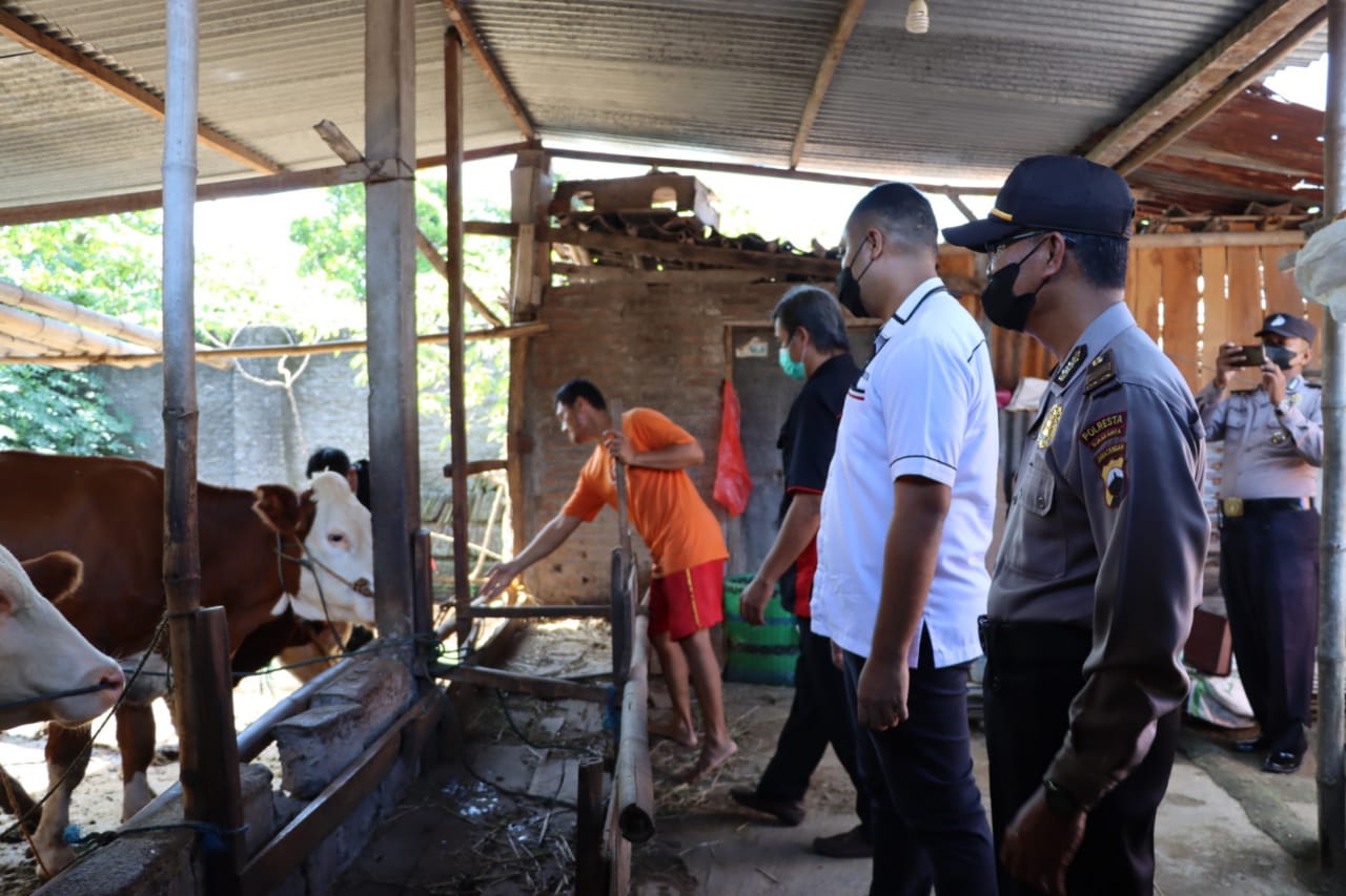 Pedagang Berharap Penyakit Kuku dan Mulut Tertangani Sebelum Idul Adha