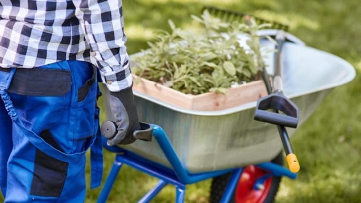 Cara Mencegah Cedera Ketika Berkebun