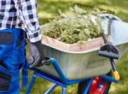 Berkebun di Area Perkotaan, Hasilnya sangat Bermanfaat