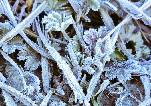 Suhu Puncak Gunung Lawu Tembus 3 Derajat Celcius, Pendaki Diminta Berhati-hati