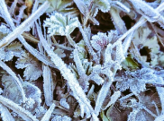 Suhu Puncak Gunung Lawu Tembus 3 Derajat Celcius, Pendaki Diminta Berhati-hati