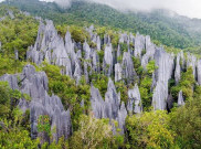 5 Taman Nasional Terbaik di Dunia, Bikin Sejuk Mata