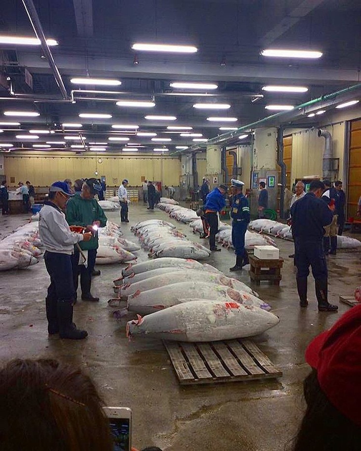 Pelelangan di Pasar Ikan Stukiji, Tokyo, Jepang. (Foto: instagram.com/where_i_wander_24.7)