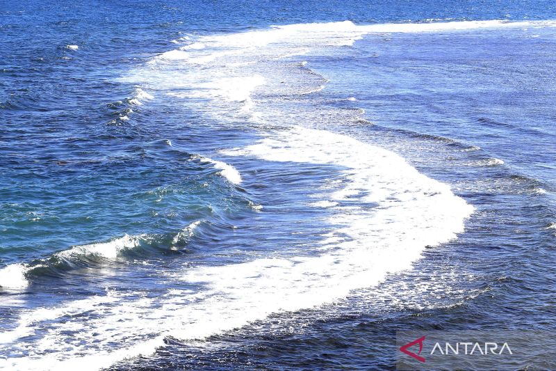 Tsunami Akibat Gempa Rusia Hantam 9 Titik di Indonesia, Paling Tinggi 20 CM